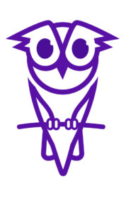 Schulungsangebote Stilisiertes Eulen-Icon in Lila, Firmenlogo von Owl Insights